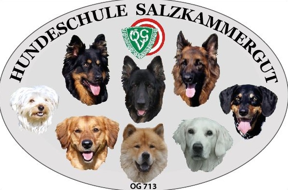 ÖGV Salzkammergut/die Hundeschule im Herzen des Ausseerlandes